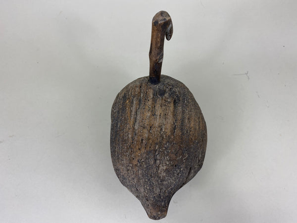 Roothead Coot (#6248)