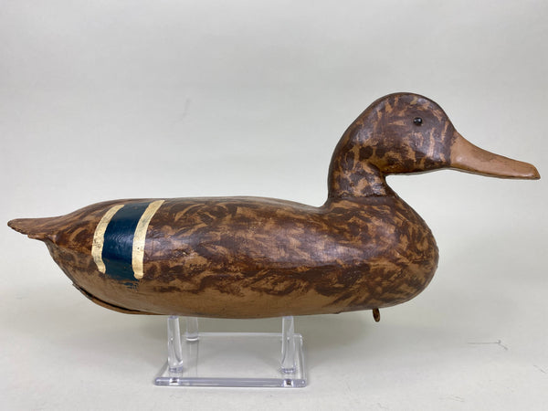 Illinois River Mallard Hen, Lacon Area, 1930's (#6272)