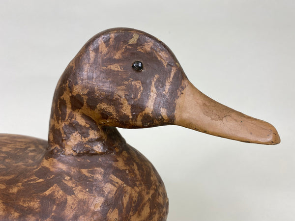 Illinois River Mallard Hen, Lacon Area, 1930's (#6272)