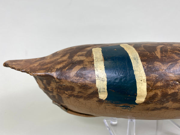 Illinois River Mallard Hen, Lacon Area, 1930's (#6272)