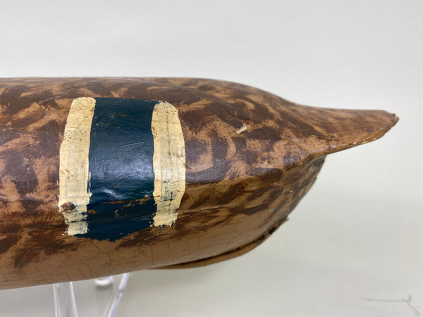 Illinois River Mallard Hen, Lacon Area, 1930's (#6272)