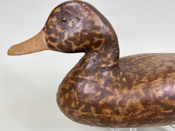 Illinois River Mallard Hen, Lacon Area, 1930's (#6272)