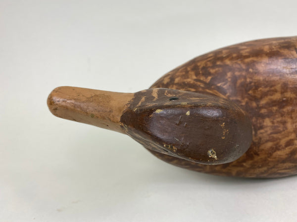 Illinois River Mallard Hen, Lacon Area, 1930's (#6272)