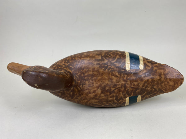 Illinois River Mallard Hen, Lacon Area, 1930's (#6272)