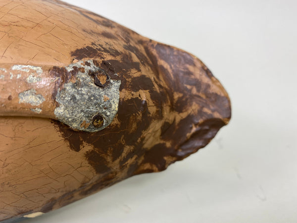 Illinois River Mallard Hen, Lacon Area, 1930's (#6272)