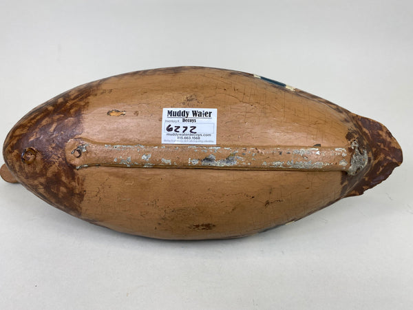 Illinois River Mallard Hen, Lacon Area, 1930's (#6272)