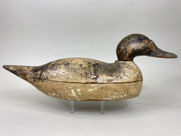 Mason Pintail Drake, Circa 1910's (#6292)