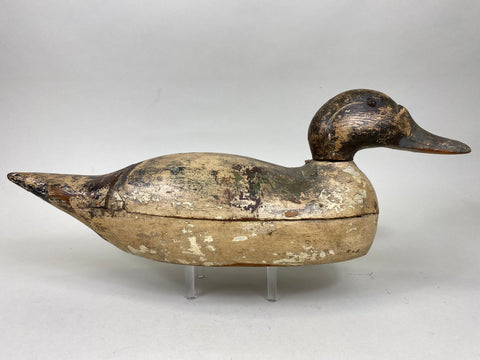 Mason Pintail Drake, Circa 1910's (#6292)