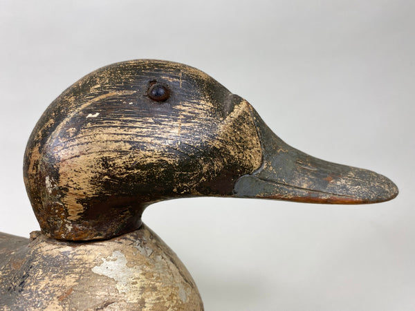 Mason Pintail Drake, Circa 1910's (#6292)