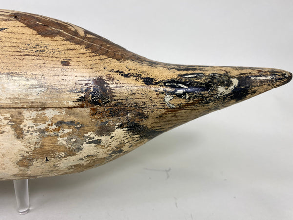 Mason Pintail Drake, Circa 1910's (#6292)