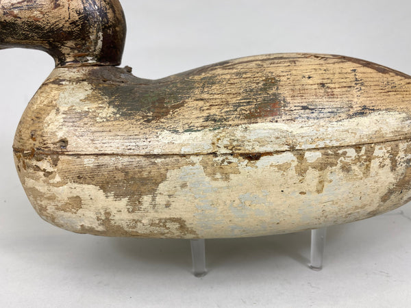 Mason Pintail Drake, Circa 1910's (#6292)