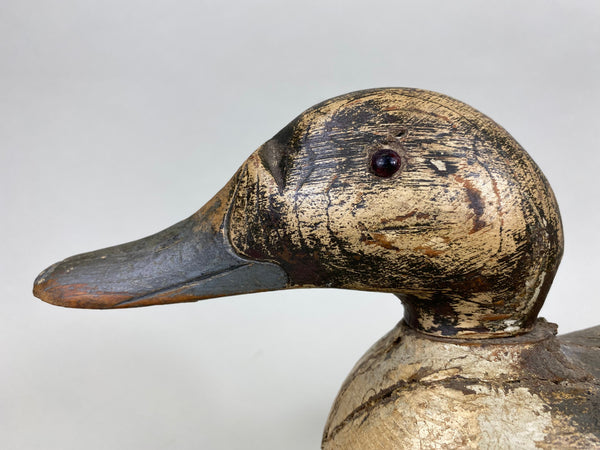 Mason Pintail Drake, Circa 1910's (#6292)