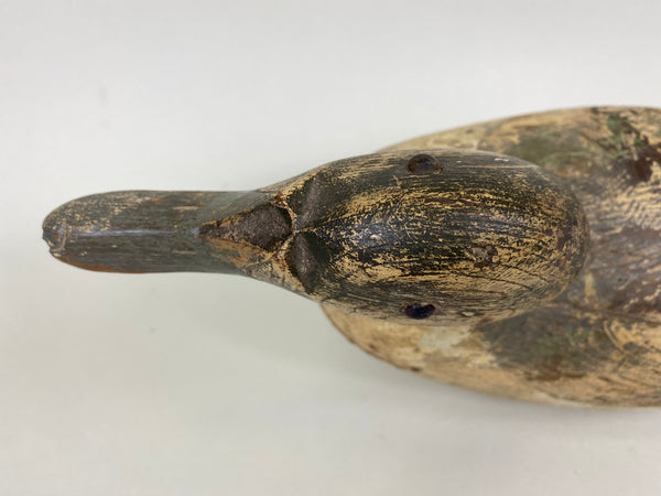 Mason Pintail Drake, Circa 1910's (#6292)