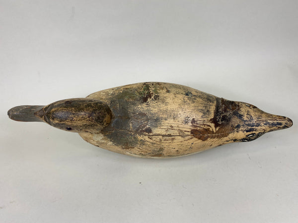 Mason Pintail Drake, Circa 1910's (#6292)