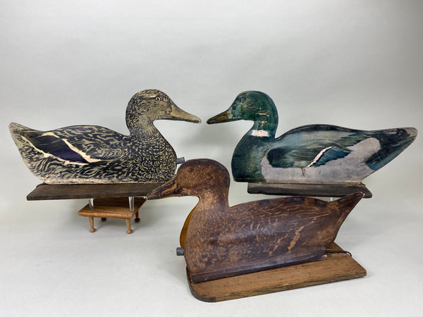 Johnson's Folding Fiber Board Mallard Decoys in Original bags (#6329)