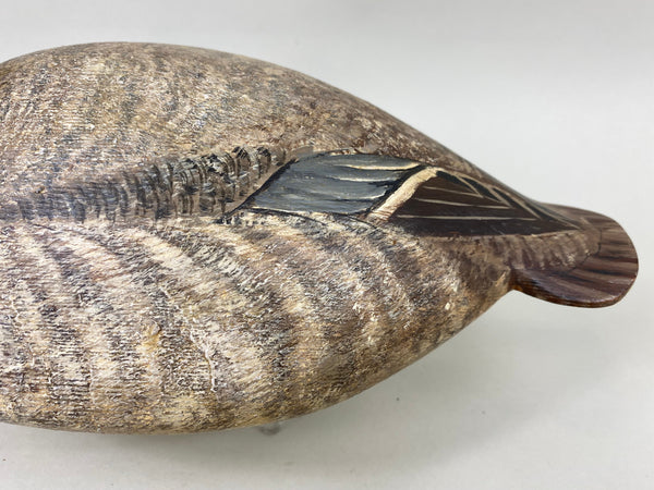 Torry Ward Canvasback Hen (#6346)