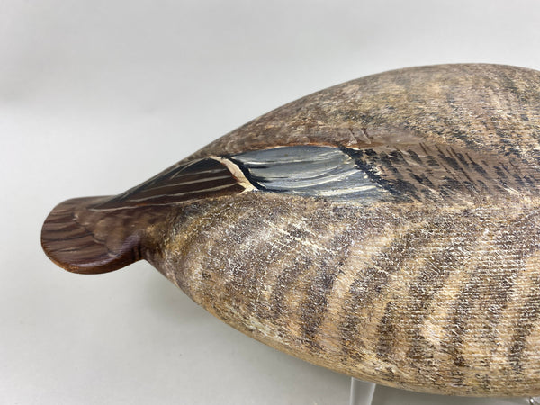 Torry Ward Canvasback Hen (#6346)