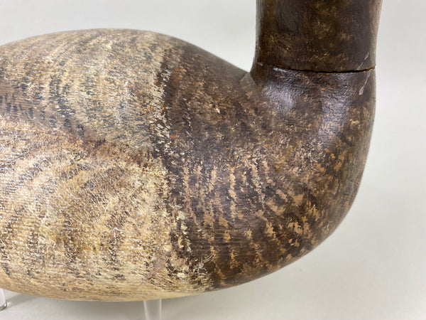 Torry Ward Canvasback Hen (#6346)