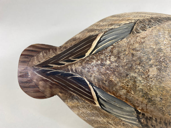 Torry Ward Canvasback Hen (#6346)