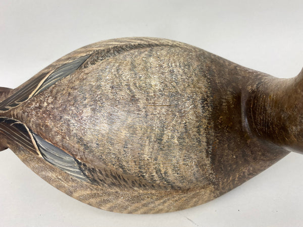 Torry Ward Canvasback Hen (#6346)