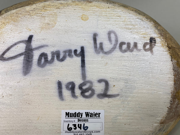 Torry Ward Canvasback Hen (#6346)