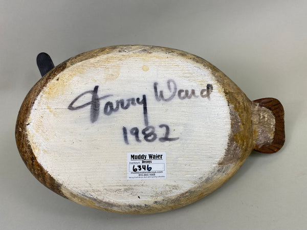 Torry Ward Canvasback Hen (#6346)