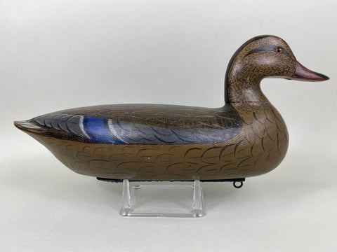 Perdew Style Mallard Hen (#6357)