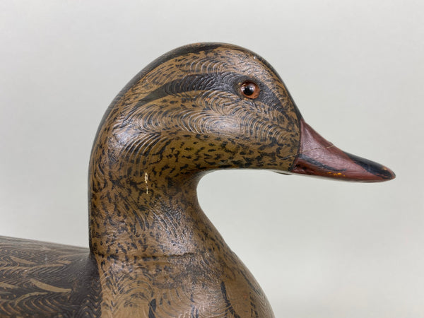 Perdew Style Mallard Hen (#6357)