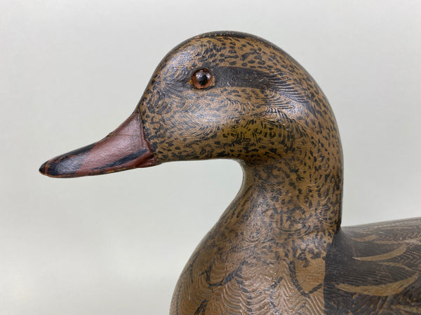 Perdew Style Mallard Hen (#6357)