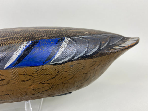 Perdew Style Mallard Hen (#6357)