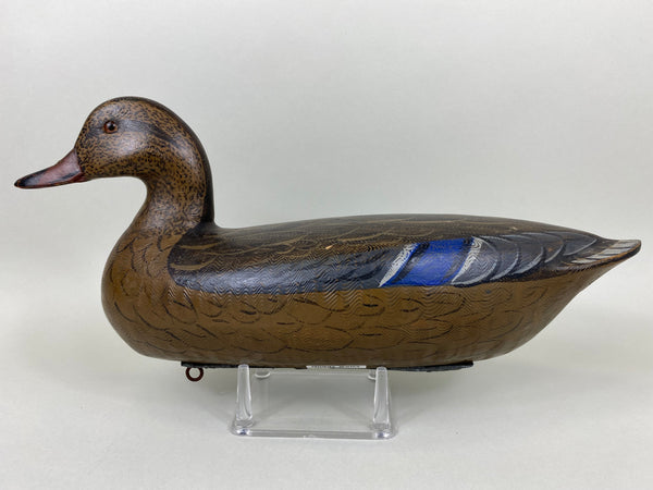 Perdew Style Mallard Hen (#6357)