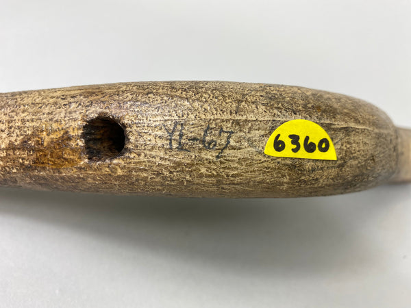 New Jersey Yellow Legs, Original Paint, Circa 1910's (#6360)