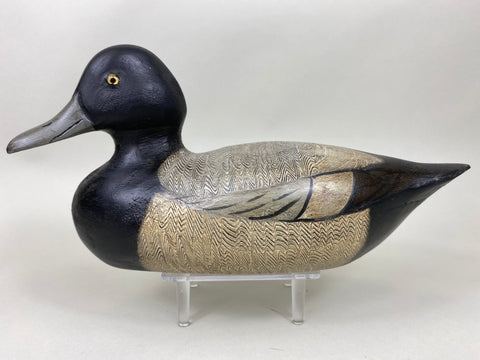 Denny Entwistle Blue Bill Drake (#6363)