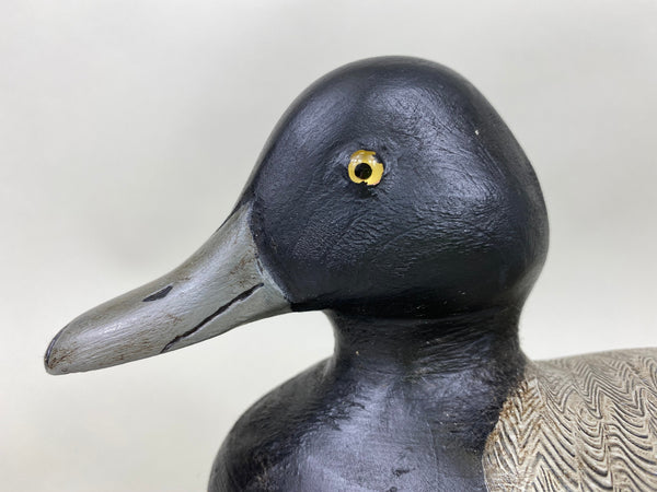 Denny Entwistle Blue Bill Drake (#6363)