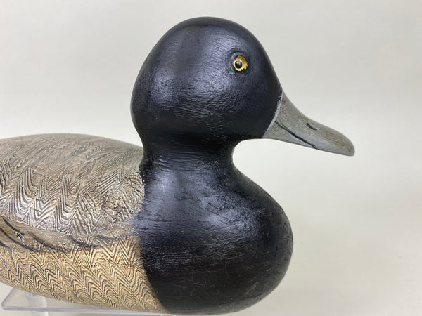 Denny Entwistle Blue Bill Drake (#6363)