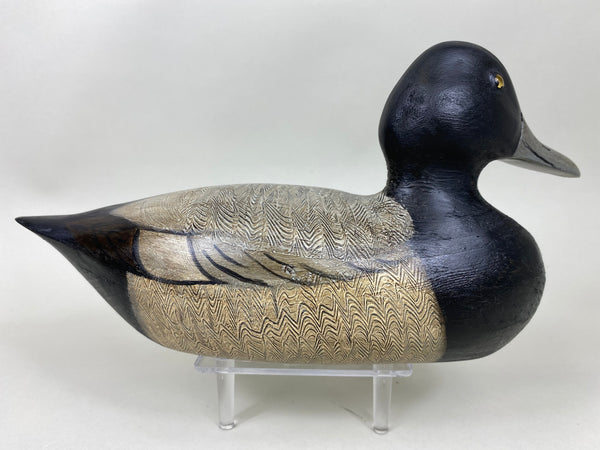 Denny Entwistle Blue Bill Drake (#6363)