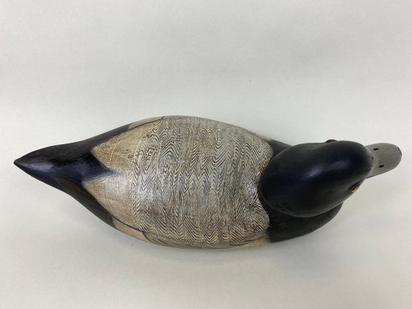 Denny Entwistle Blue Bill Drake (#6363)