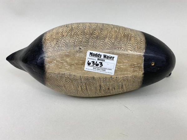 Denny Entwistle Blue Bill Drake (#6363)