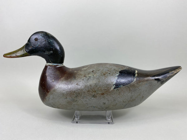 Evans Factory Mallard Drake, Mammoth Grade (#6376)