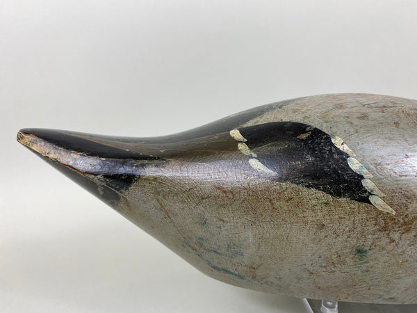 Evans Factory Mallard Drake, Mammoth Grade (#6376)