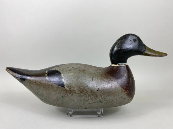 Evans Factory Mallard Drake, Mammoth Grade (#6376)