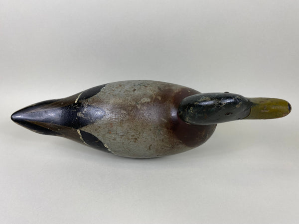 Evans Factory Mallard Drake, Mammoth Grade (#6376)