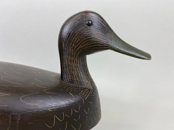 R. C. Burnett Black Duck Decoy, Original, Branded, Circa 1940's (#6380)
