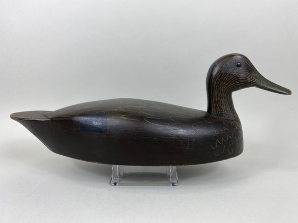 R. C. Burnett Black Duck Decoy, Original, Branded, Circa 1940's (#6380)