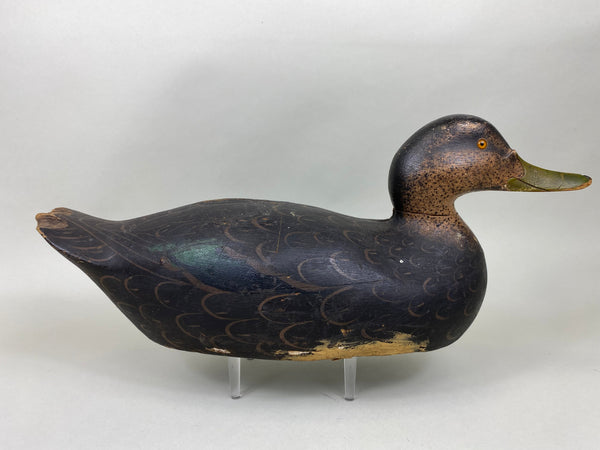 Mason Premier Grade Black Duck, Original Paint (#6391)
