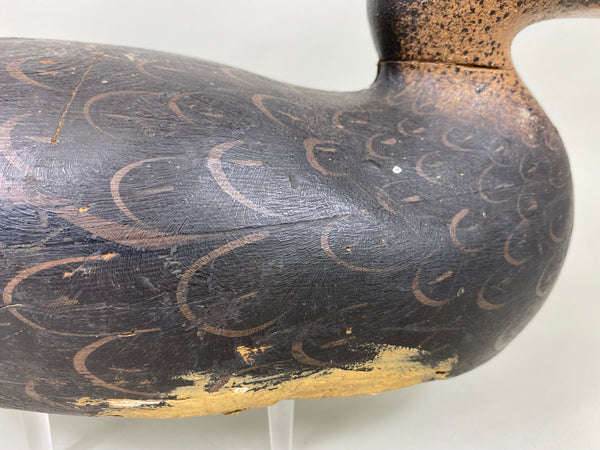 Mason Premier Grade Black Duck, Original Paint (#6391)