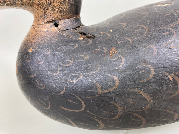 Mason Premier Grade Black Duck, Original Paint (#6391)