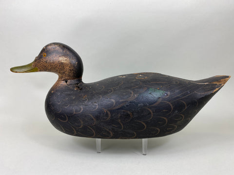 Mason Premier Grade Black Duck, Original Paint (#6391)