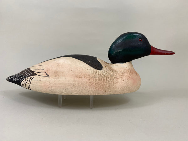 Herters 1893 Series Common Merganser (#6400)