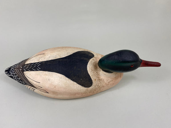 Herters 1893 Series Common Merganser (#6400)